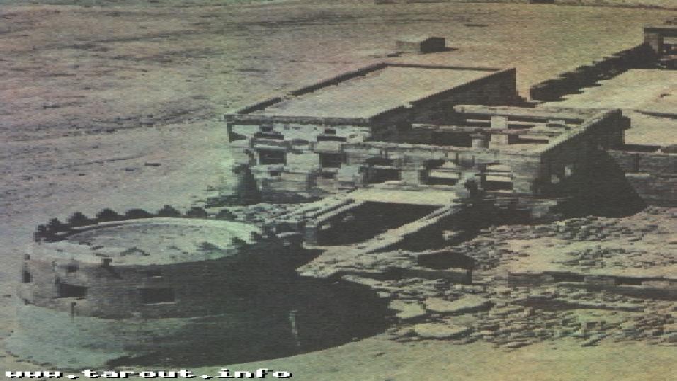 1191429105